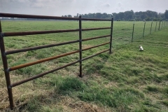 5-rail-pipe
