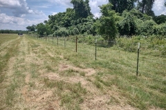 5-strand-barbed-wire-3