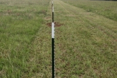 5-strand-barbed-wire-2